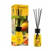 Clone Odorizant camera FANTASTICO, mango si papaya, 125 ml